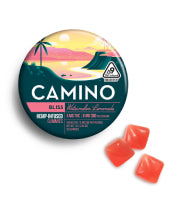 Camino Watermelon Lemonade