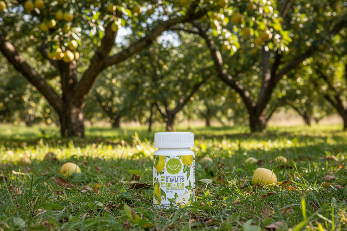 Pear | CBD Gummies