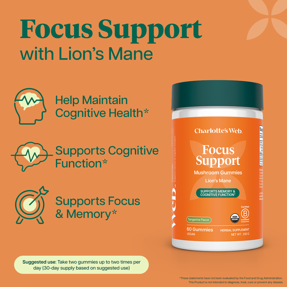 Lion's Mane Focus Support 60ct | Functional Mushroom Gummies