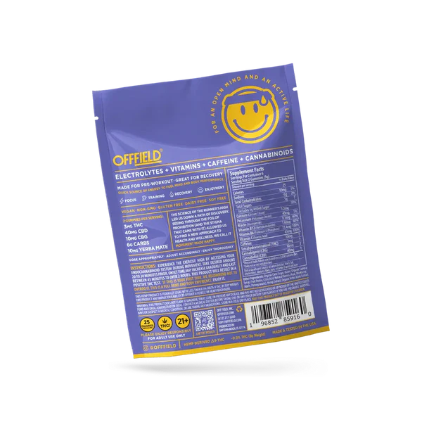 Wild Berry | THC + CBD Gummies